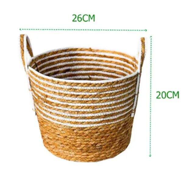 2024-09-04-110440723