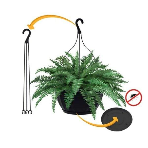 2024-09-05-181210355