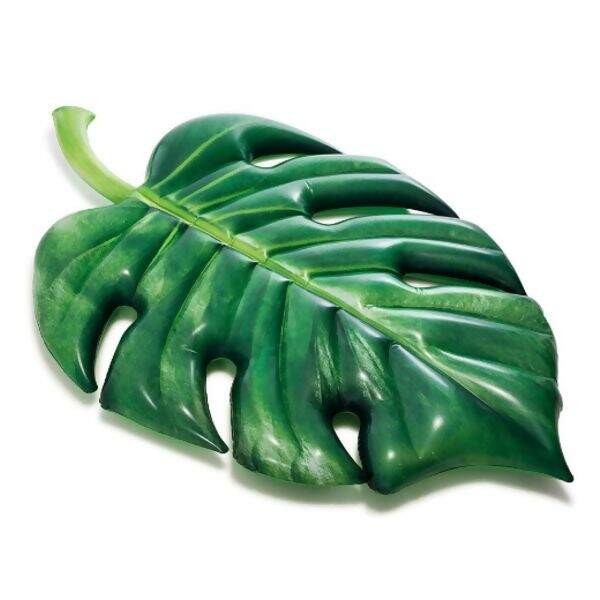 2024-09-05-192457935